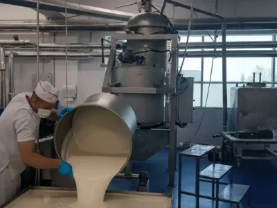 Elegan Şeker Karıştırıcı Mikseri